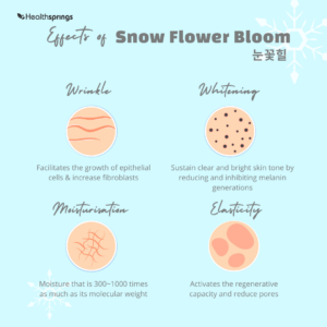 Snow Flower Bloom Treatment 2